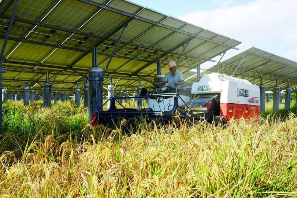 空间无限大！一文解锁“光伏+”